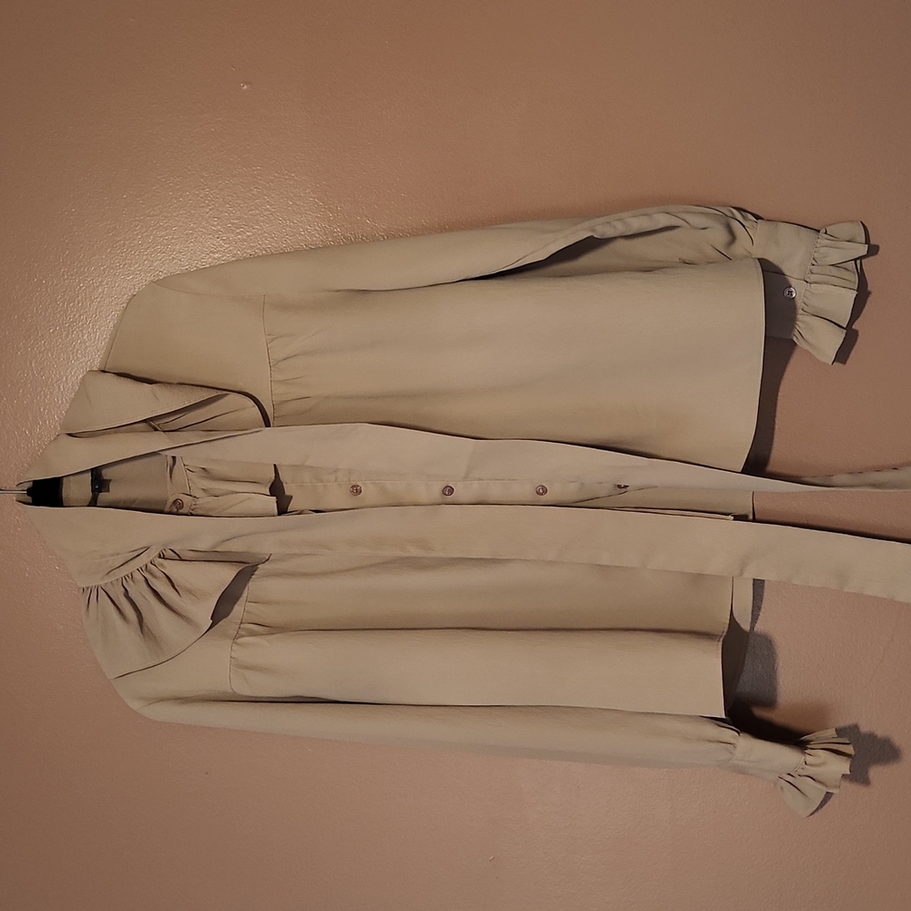 Ruffle neck tie blouse